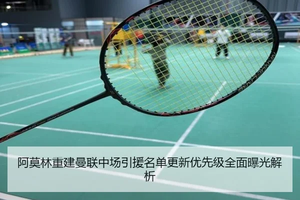阿莫林重建曼联中场引援名单更新优先级全面曝光解析